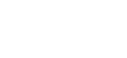 logo_int-bsw_weiss