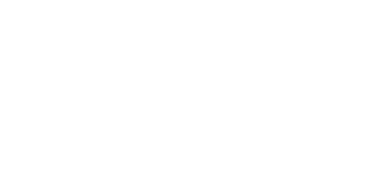 logo_int-bsw_weiss